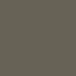Earthtone finish sample